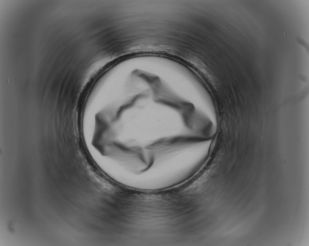 X0000095131030200801041242