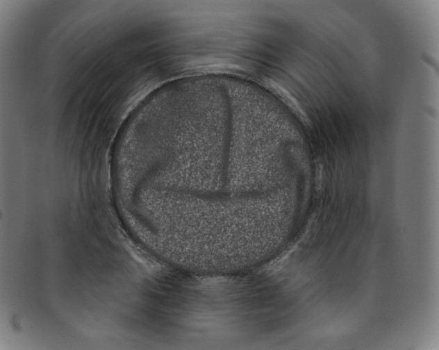 X0000095131031200801041242