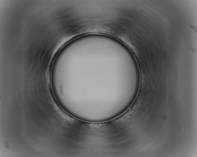 X0000095131032200801041242