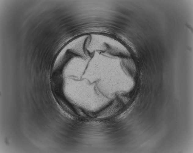 X0000095131033200801041242