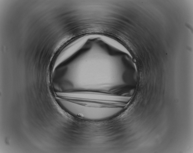 X0000095131034200801041242