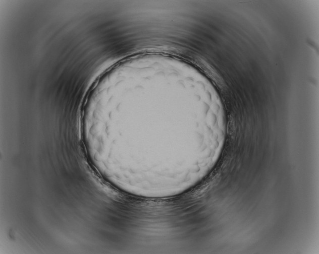 X0000095131036200801041242