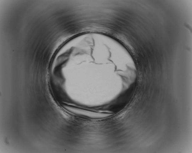 X0000095131040200801041242