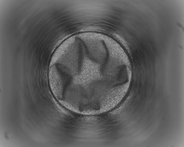 X0000095131041200801041242