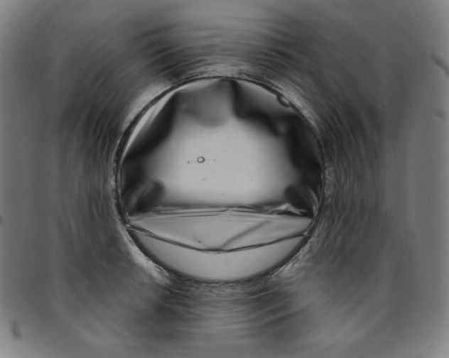 X0000095131042200801041242