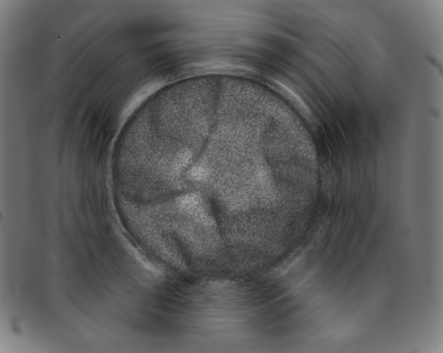 X0000095131043200801041242