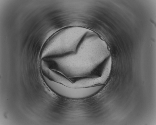 X0000095131044200801041242