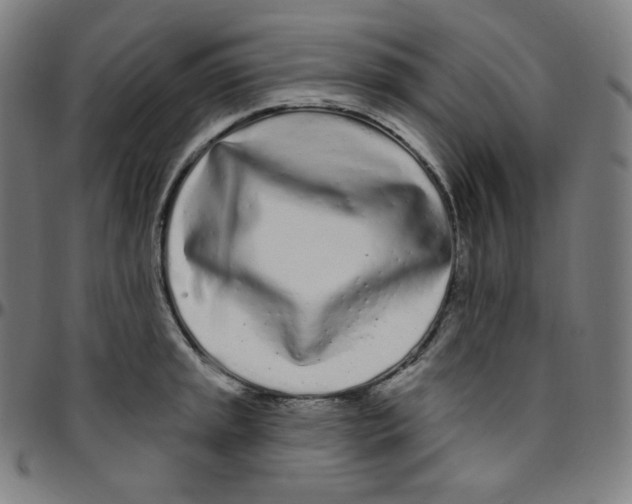 X0000095131045200801041242