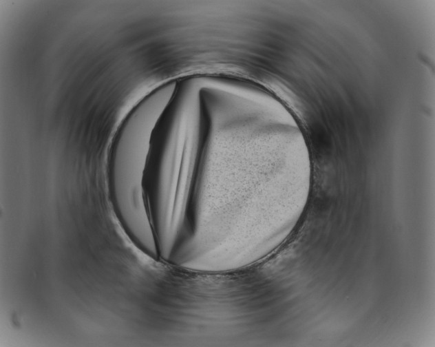 X0000095131046200801041242