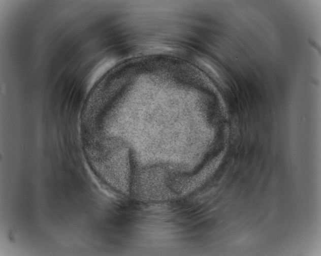 X0000095131047200801041242