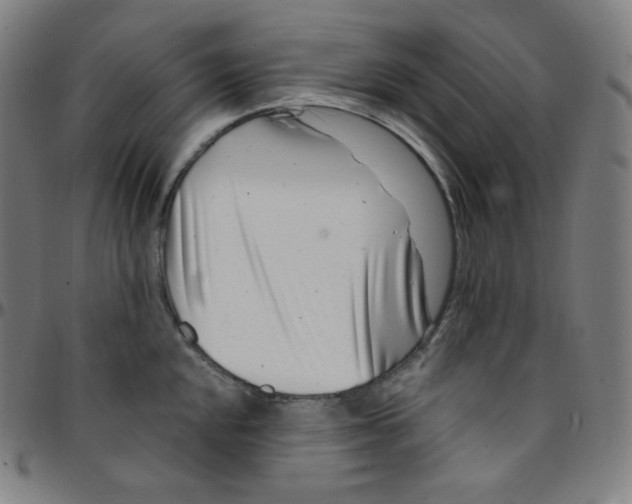 X0000095131048200801041242