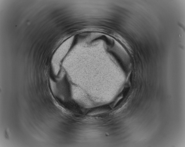 X0000095131049200801041242