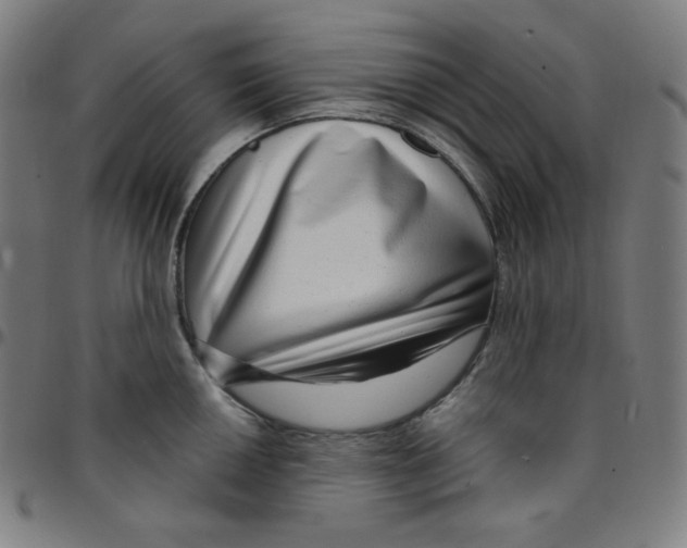 X0000095131050200801041242