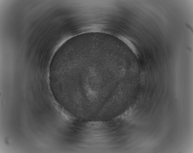 X0000095131051200801041242