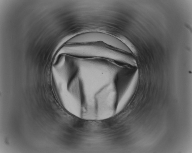 X0000095131052200801041242