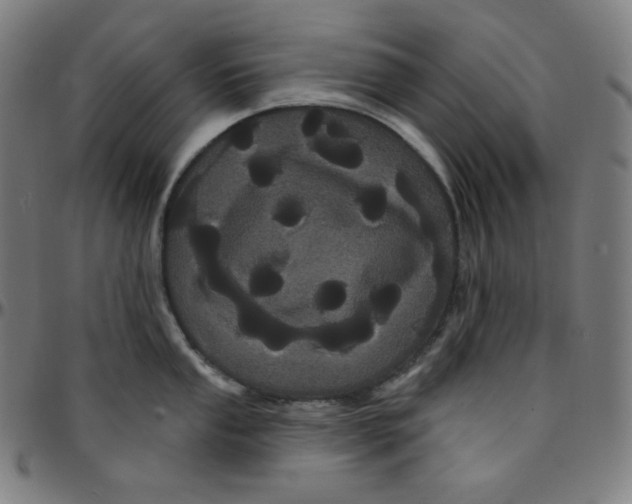 X0000095131053200801041242