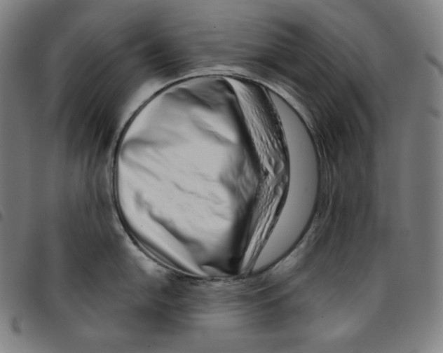 X0000095131054200801041242