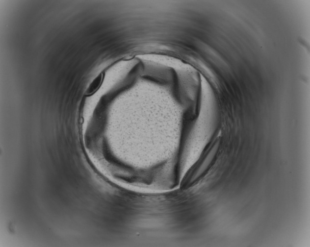 X0000095131055200801041242