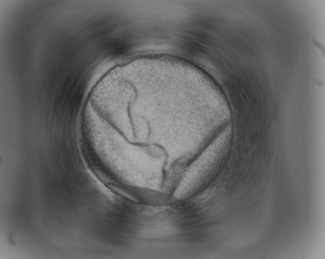 X0000095131056200801041242