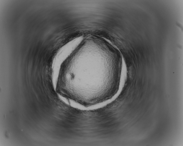 X0000095131059200801041241