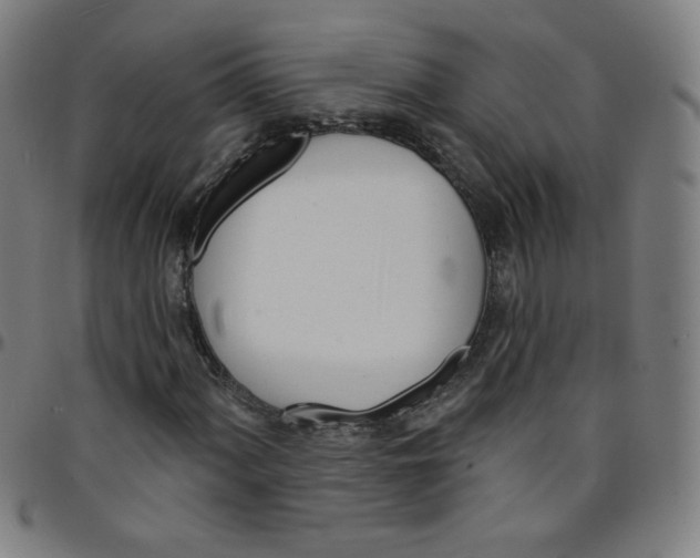 X0000095131060200801041241