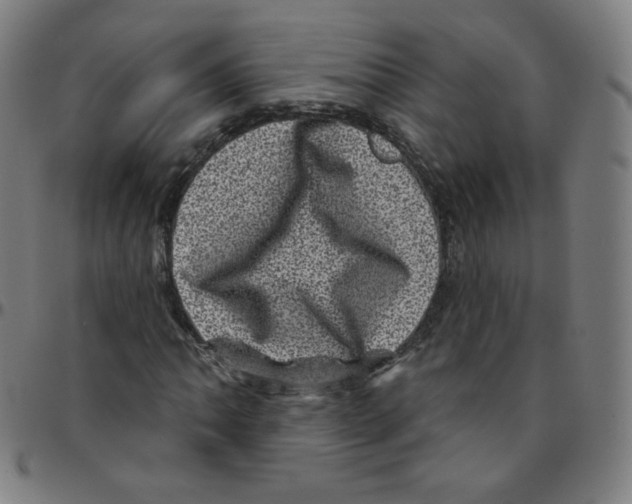 X0000095131062200801041241