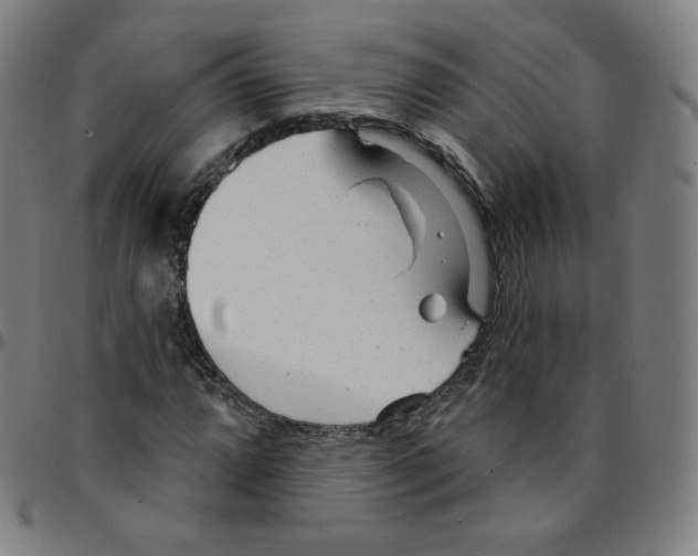 X0000095131064200801041241