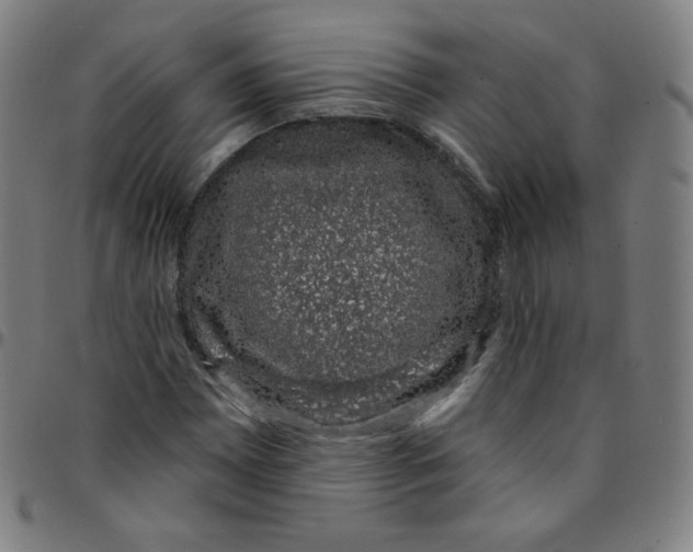 X0000095131065200801041241