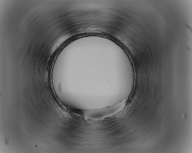 X0000095131066200801041241