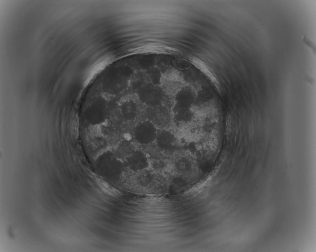 X0000095131067200801041241