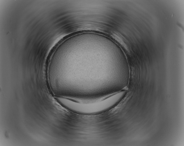 X0000095131068200801041241