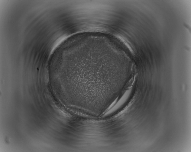 X0000095131069200801041241