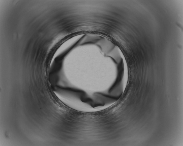 X0000095131070200801041241