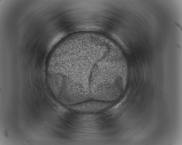 X0000095131071200801041241