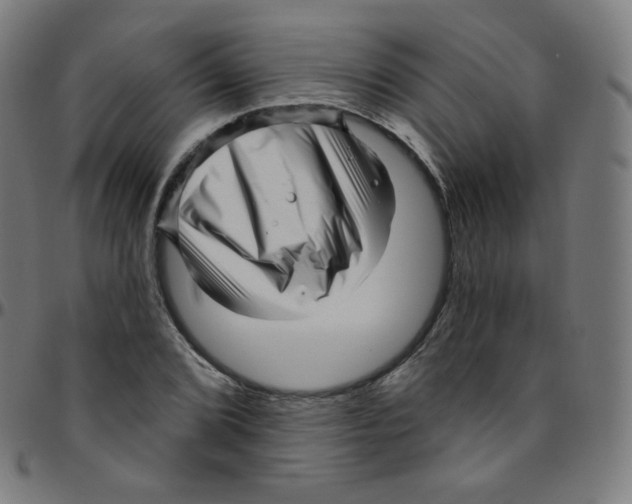 X0000095131072200801041241