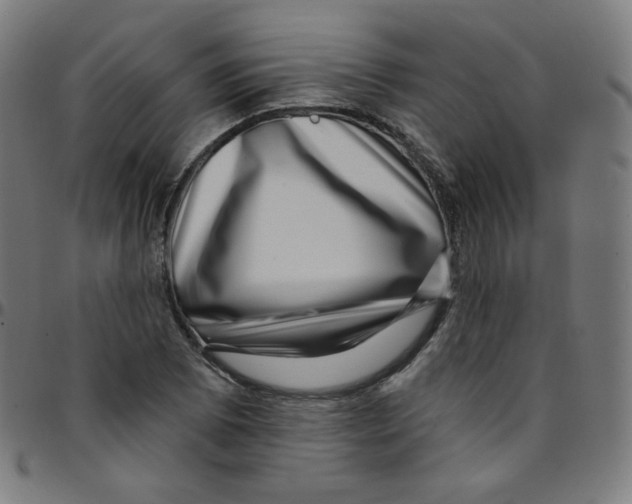 X0000095131073200801041241