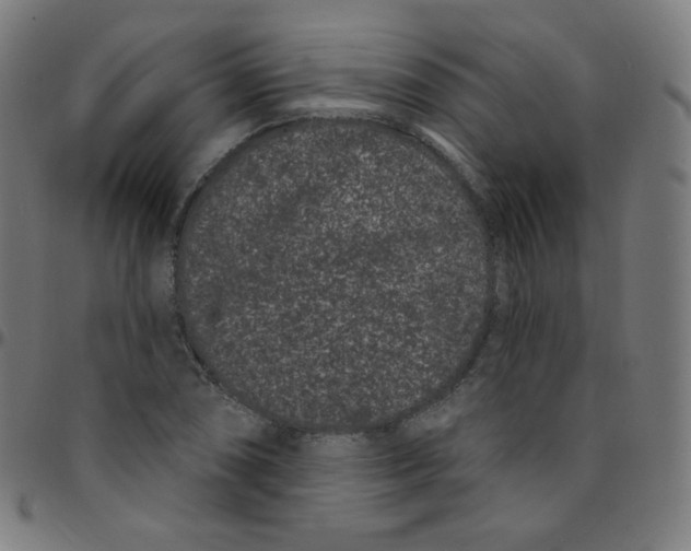 X0000095131074200801041241