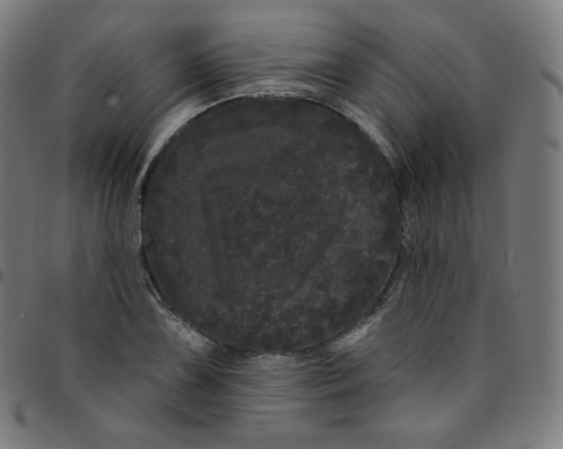 X0000095131075200801041241