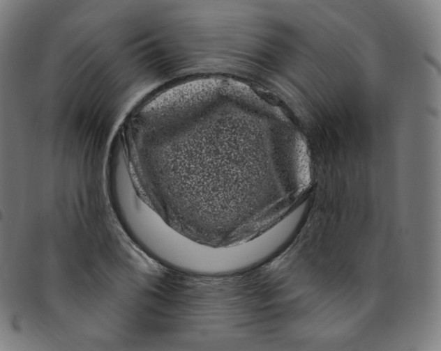 X0000095131076200801041241