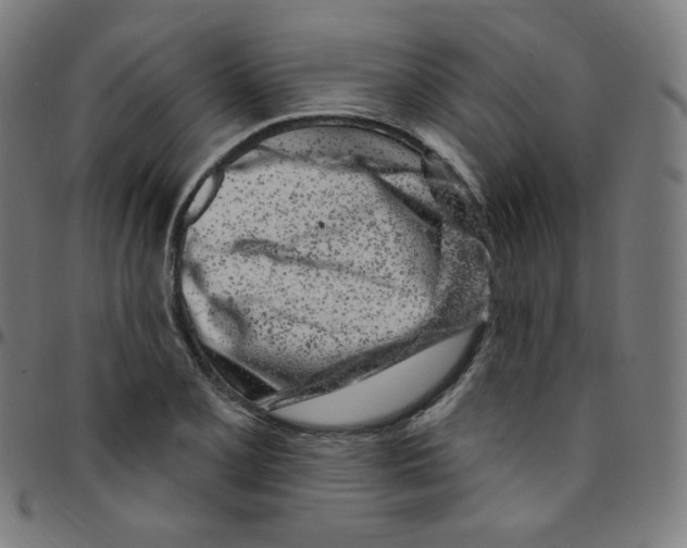 X0000095131077200801041241