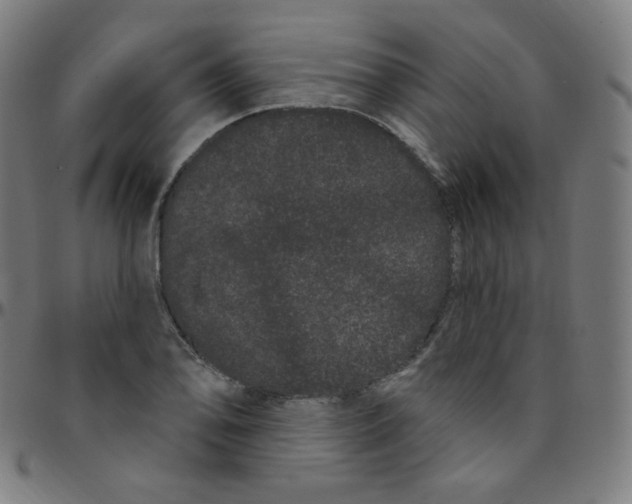 X0000095131078200801041241