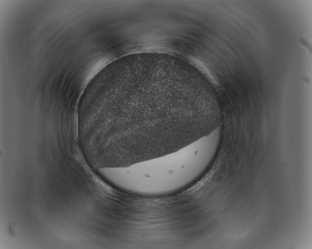 X0000095131079200801041241