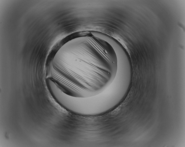 X0000095131080200801041241