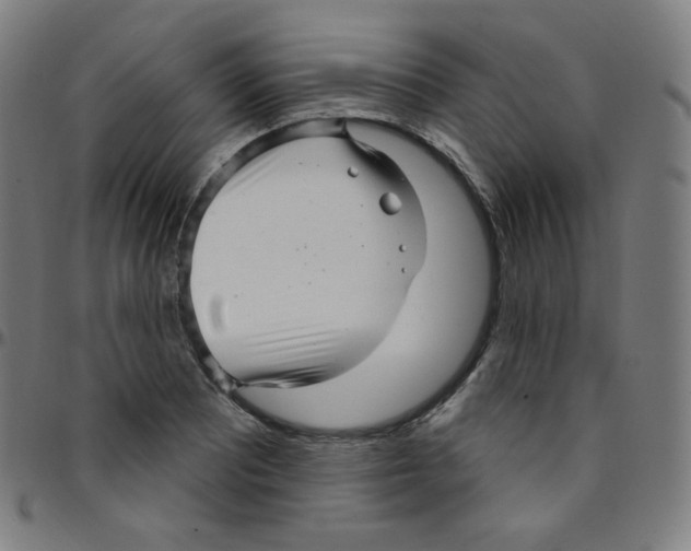 X0000095131081200801041241