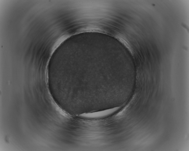 X0000095131082200801041241