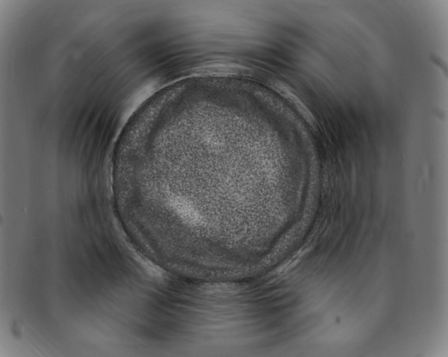 X0000095131083200801041241