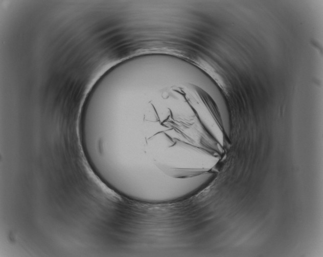 X0000095131084200801041241