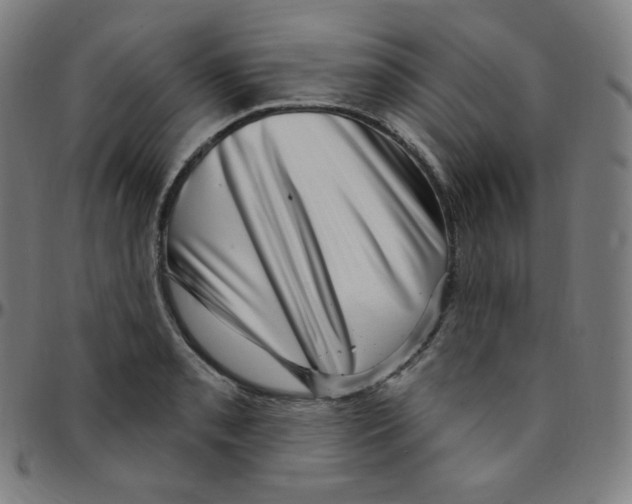 X0000095131085200801041241