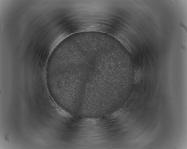 X0000095131086200801041241