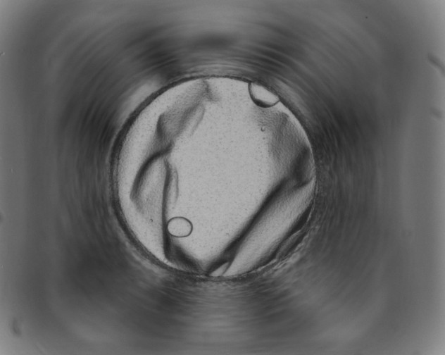 X0000095131087200801041241